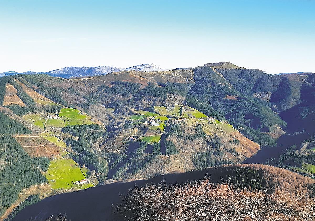 En lo más alto. La buena labor de las compañías del territorio es reconocida más allá de Gipuzkoa.