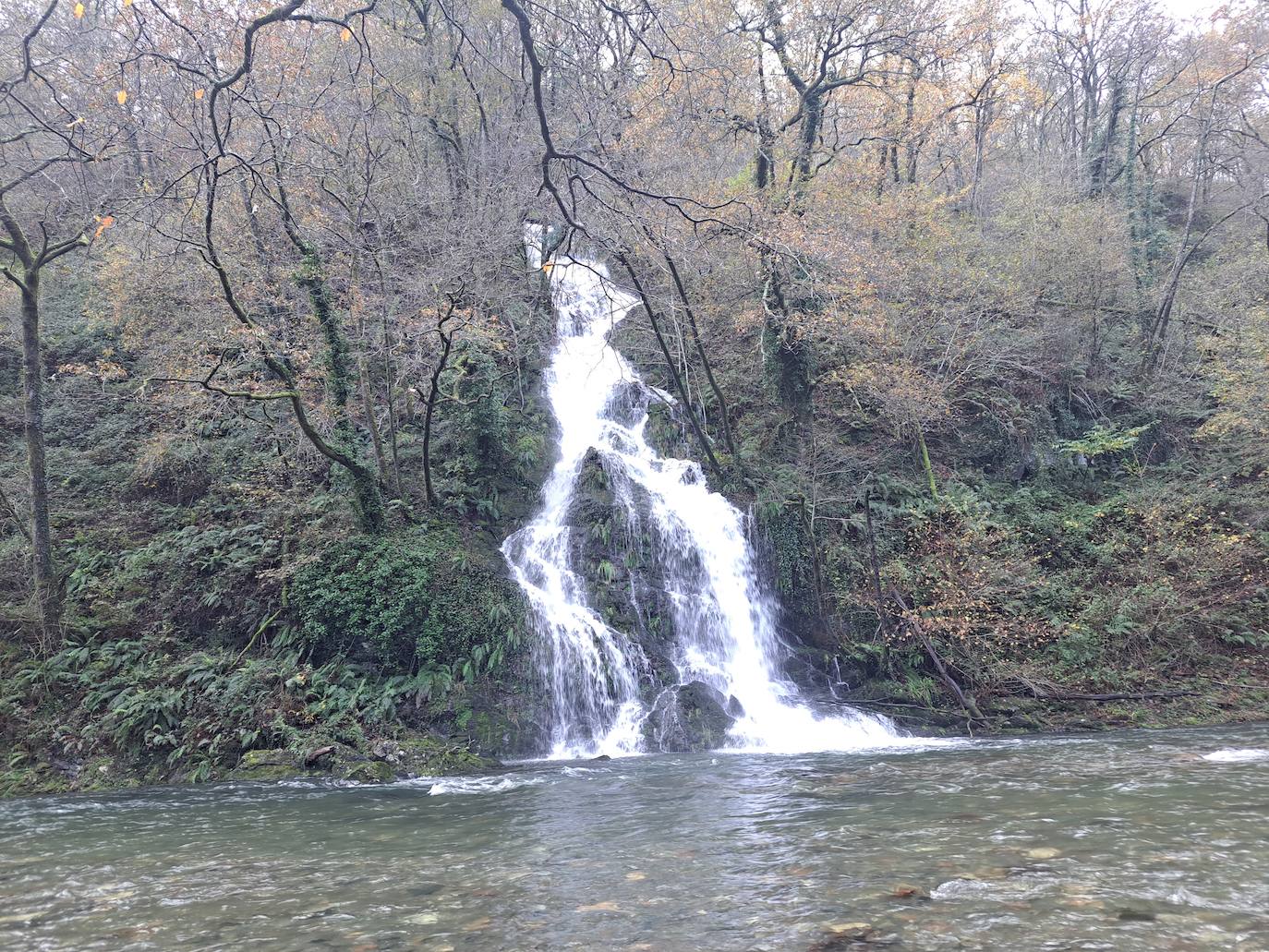 Leuneta. Baile entre betizus y niebla