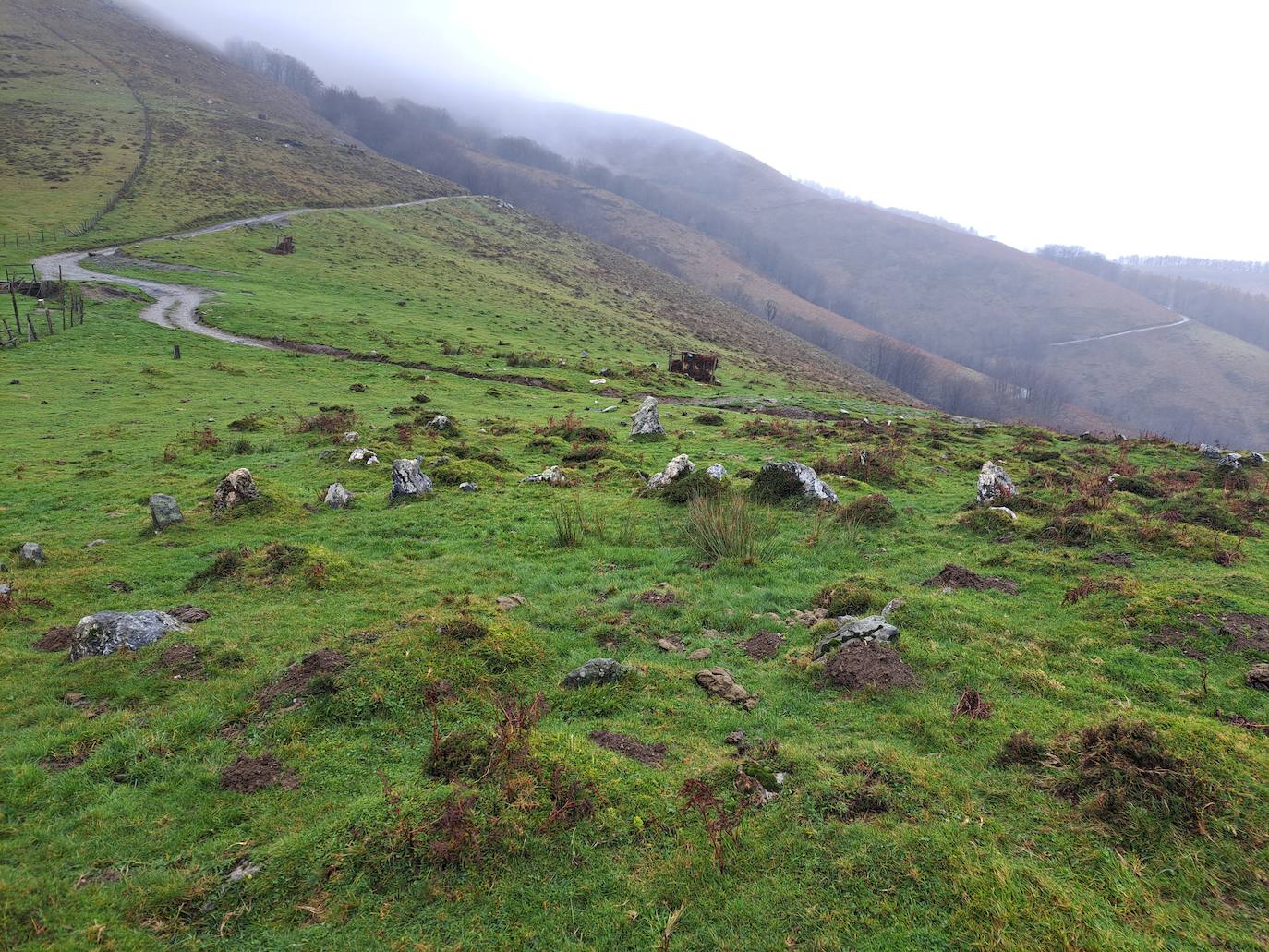 Leuneta. Baile entre betizus y niebla