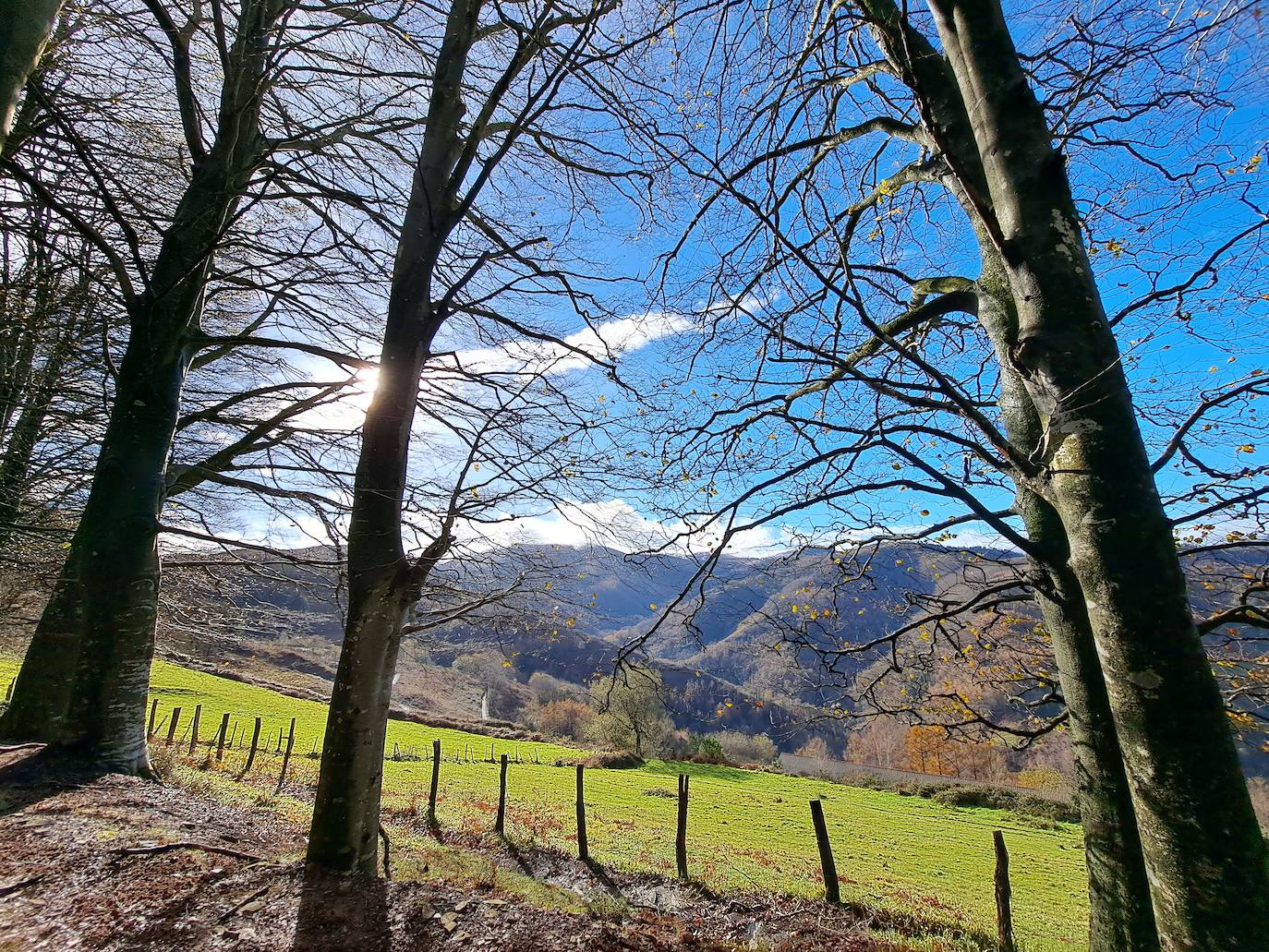 Leuneta. Baile entre betizus y niebla