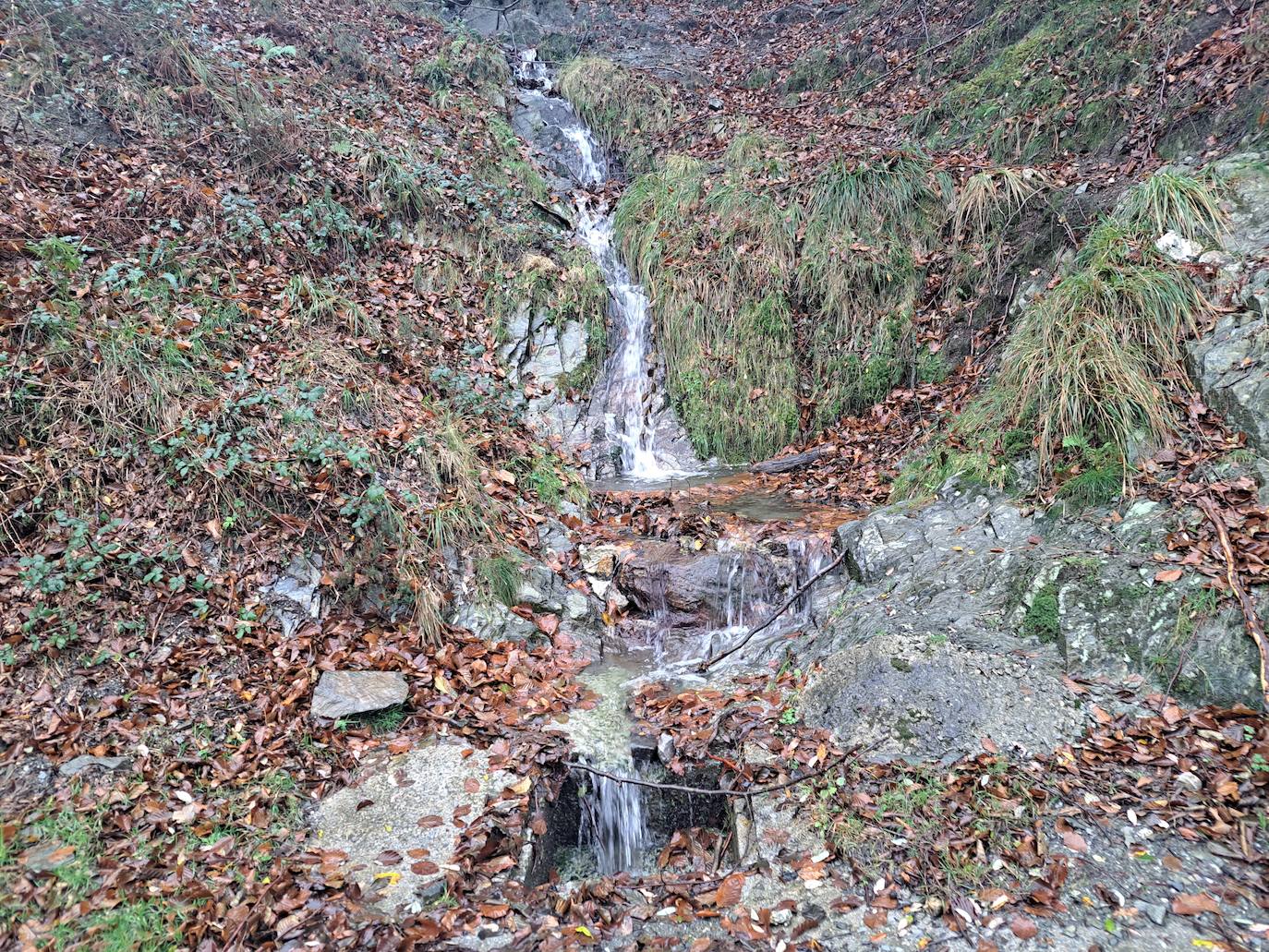 Leuneta. Baile entre betizus y niebla