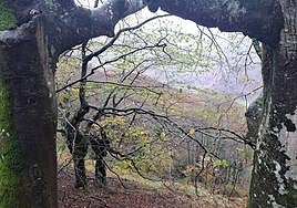 Leuneta. Baile entre betizus y niebla