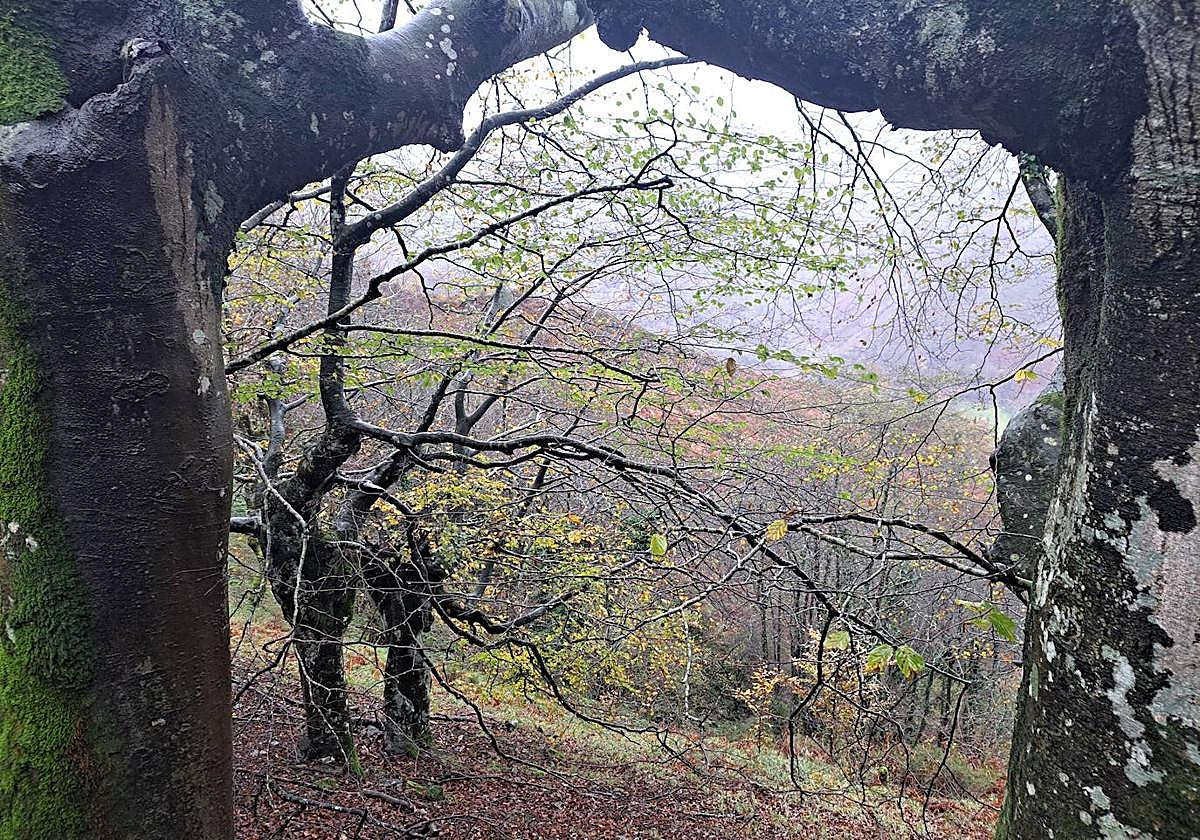 Leuneta. Baile entre betizus y niebla