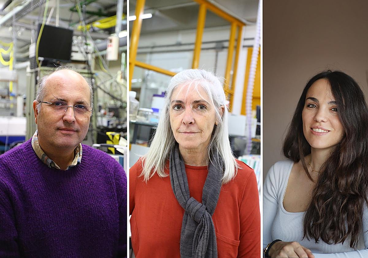 UPV/EHUko lan batek jaso du Renal fundazioaren 2023ko saria