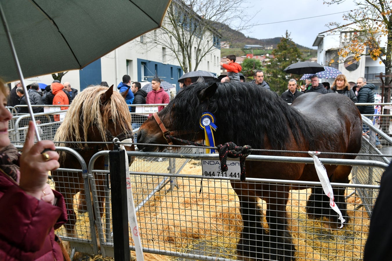 Feria de Santa Lucía en Urretxu y Zumarraga
