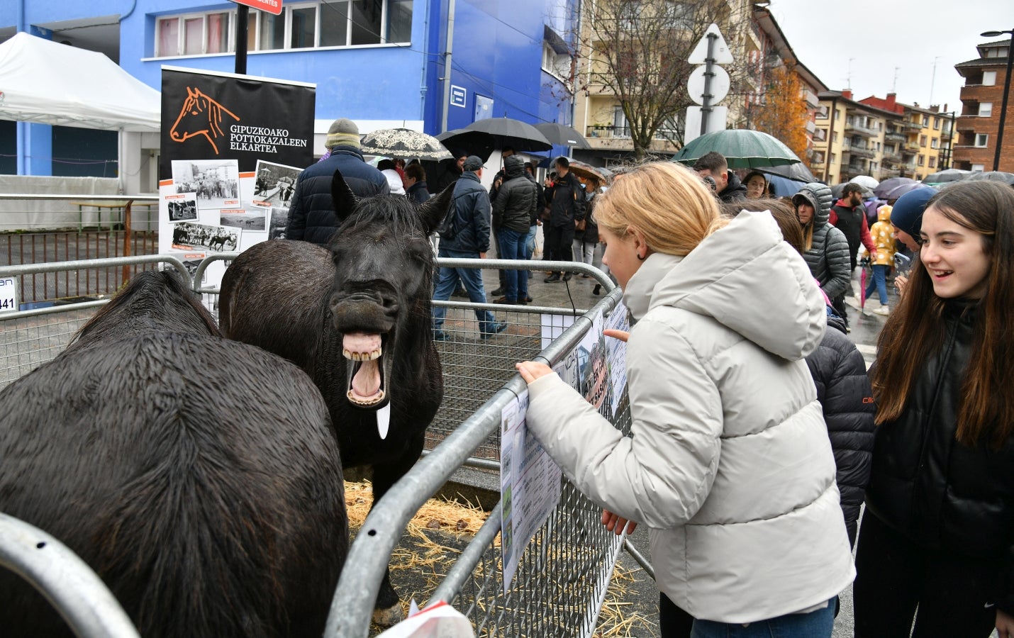 Feria de Santa Lucía en Urretxu y Zumarraga