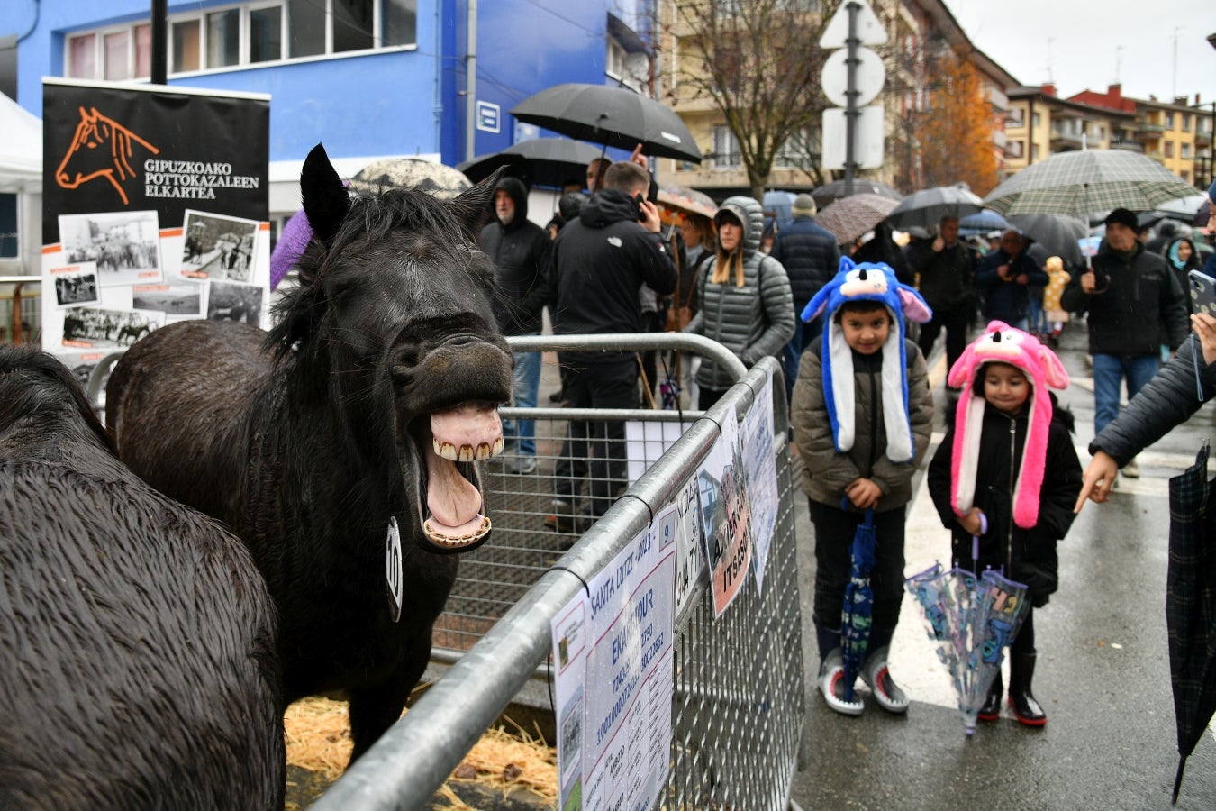 Feria de Santa Lucía en Urretxu y Zumarraga