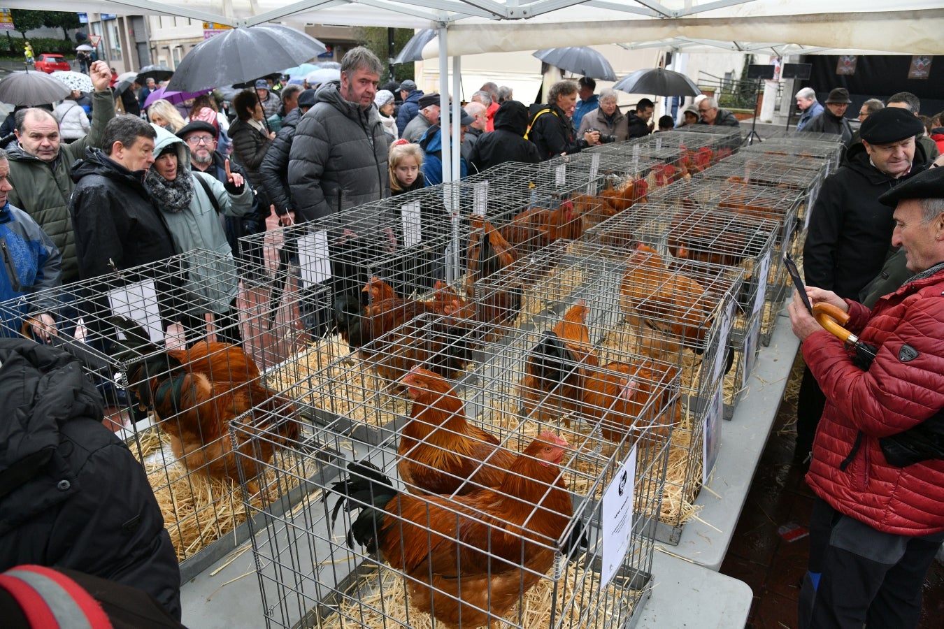 Feria de Santa Lucía en Urretxu y Zumarraga