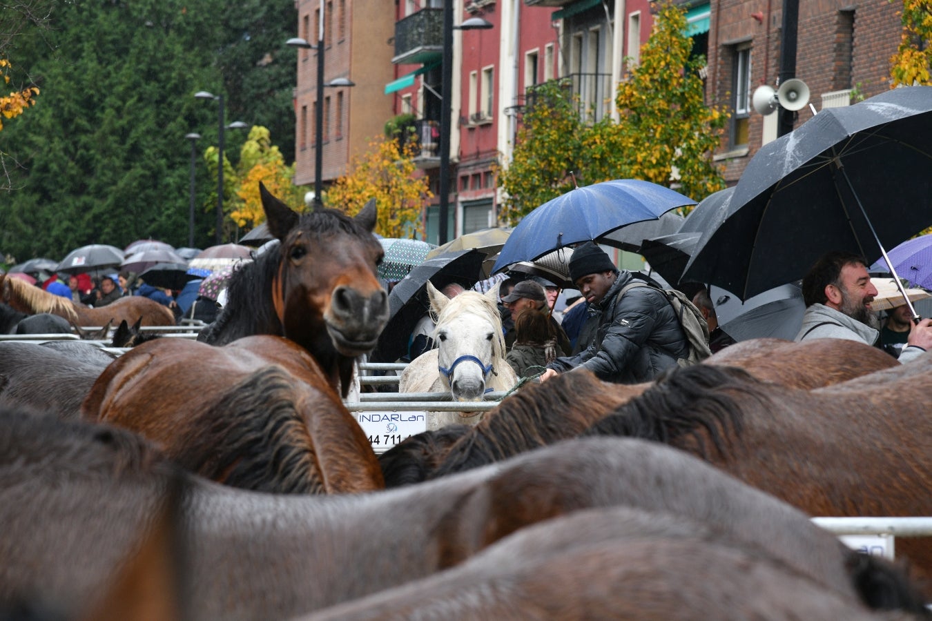 Feria de Santa Lucía en Urretxu y Zumarraga