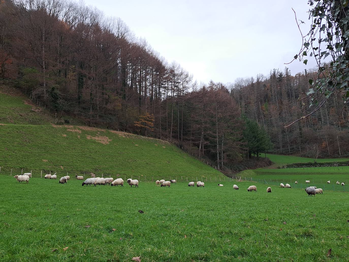 Arburu, una cima sobre Berastegi