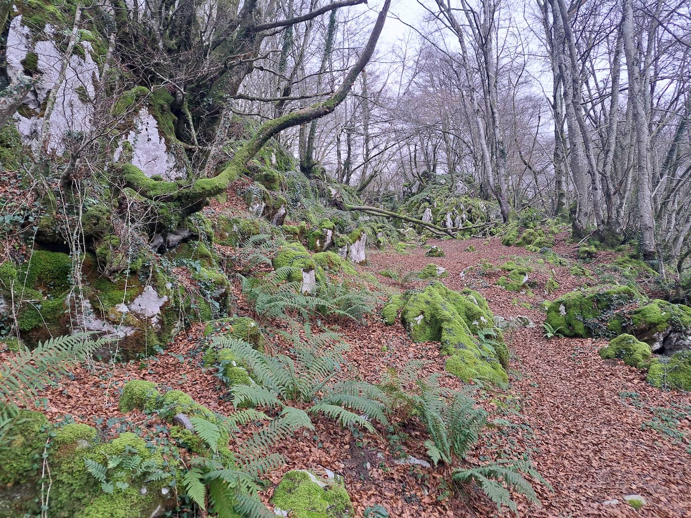 Arburu, una cima sobre Berastegi