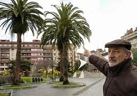 Ignacio Javier Larrañaga señala a unas palmeras en Donostia, que podrían ser atacadas por el picudo rojo.