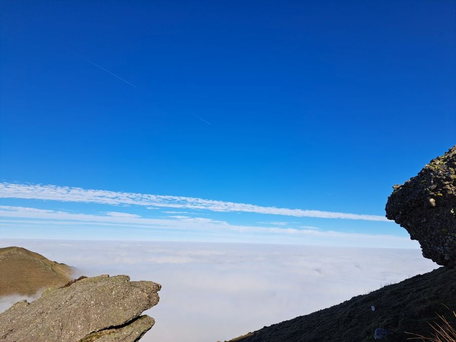 Mendaur: un regalo para la vista