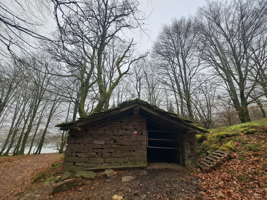 Mendaur: un regalo para la vista