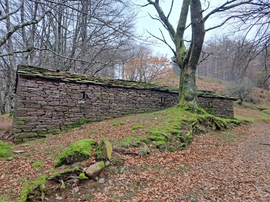 Mendaur: un regalo para la vista