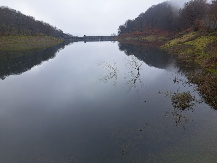 Mendaur: un regalo para la vista