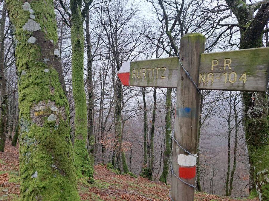 Mendaur: un regalo para la vista