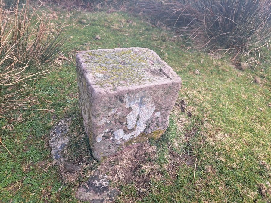 Mendaur: un regalo para la vista