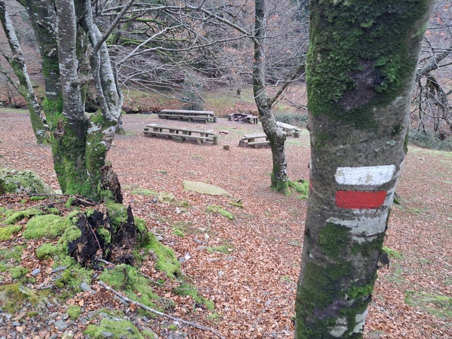 Mendaur: un regalo para la vista