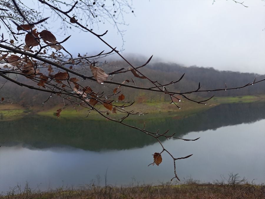 Mendaur: un regalo para la vista