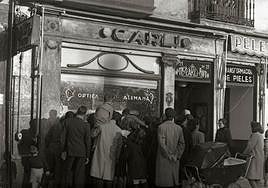 Expectación ante el nacimiento de Óptica Carlie.