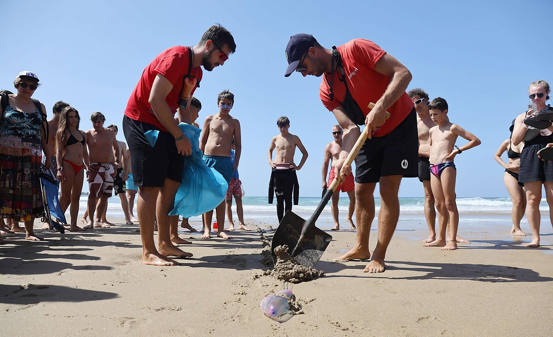 Scroll Story imagen 7