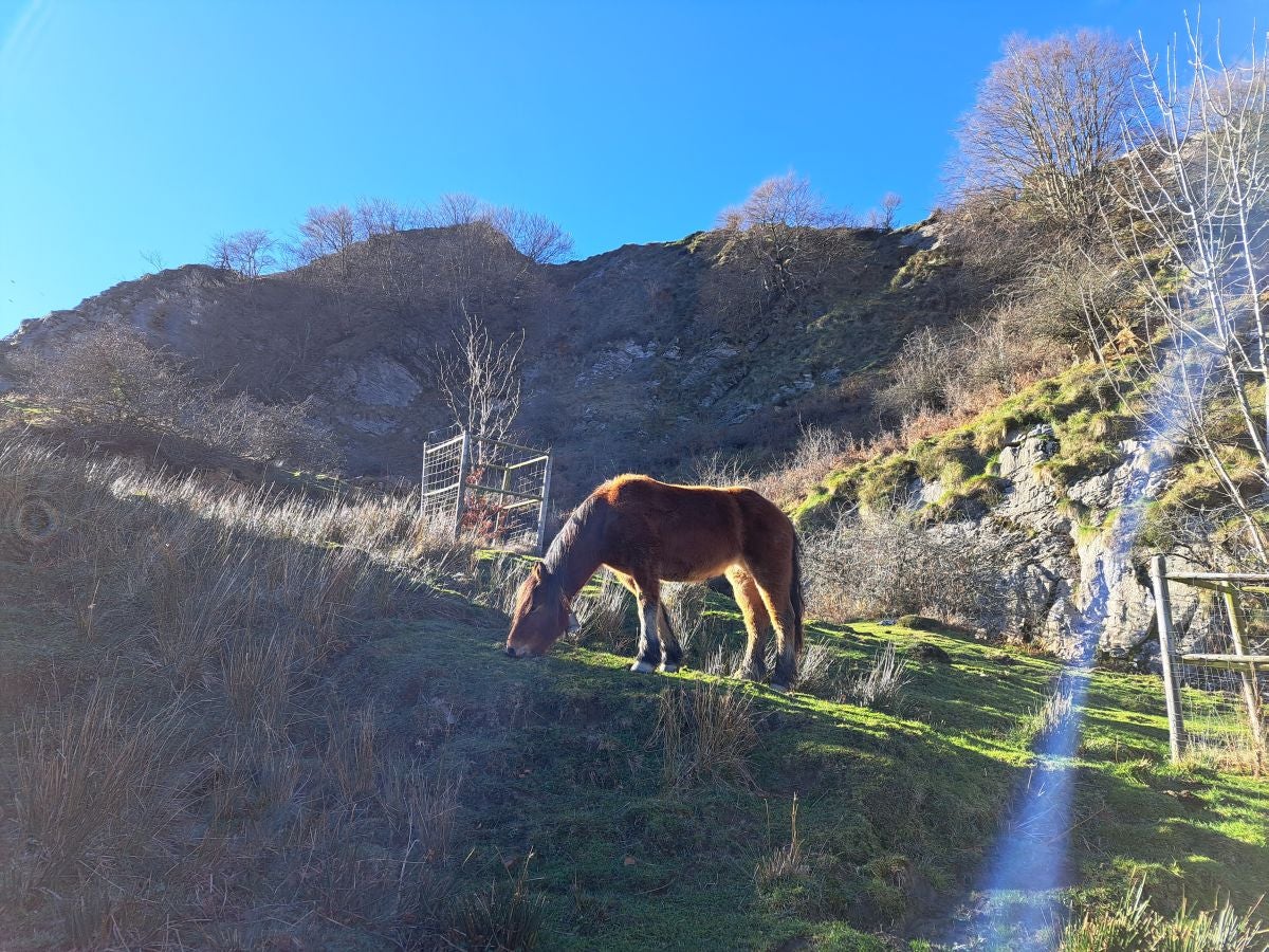 Fotos:Ruta a la cima del Gorbeia