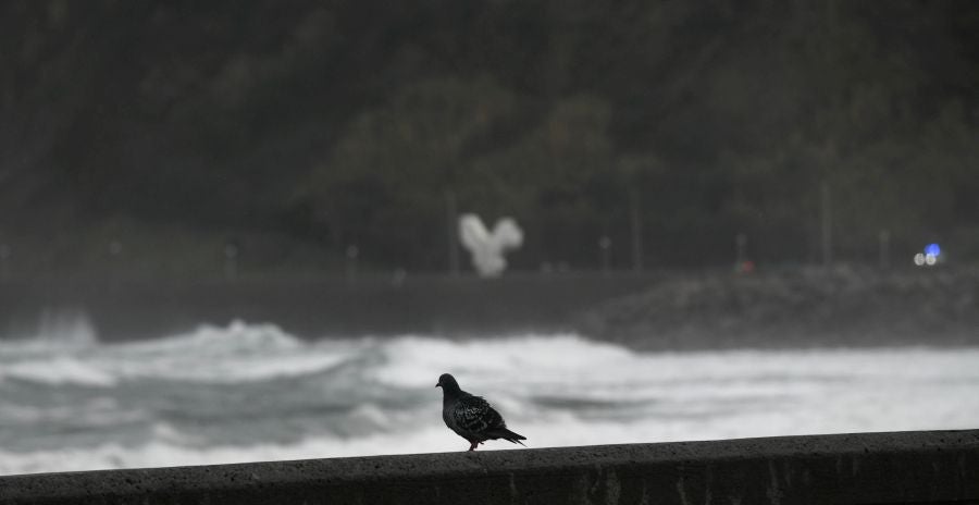 Fotos: Jornada gris y lluviosa