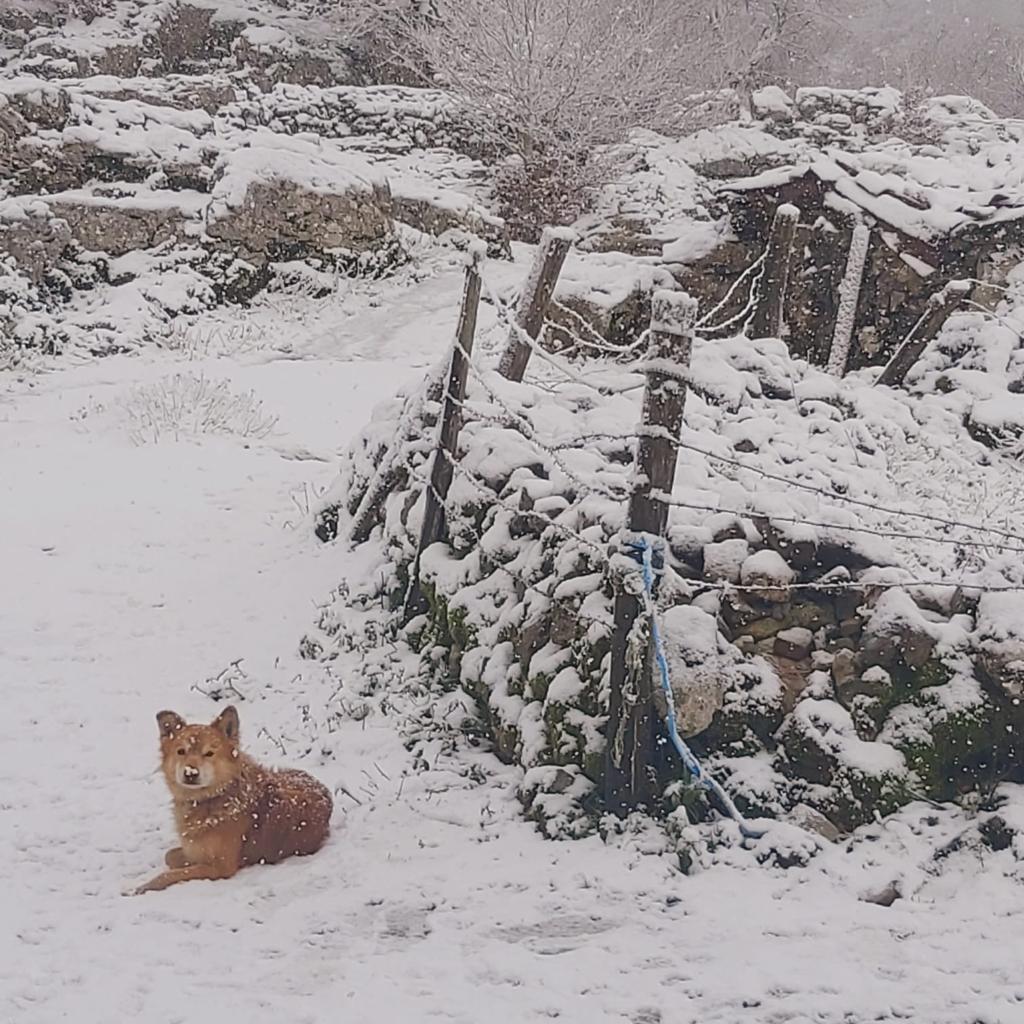 Fotos: Jornada gris y lluviosa