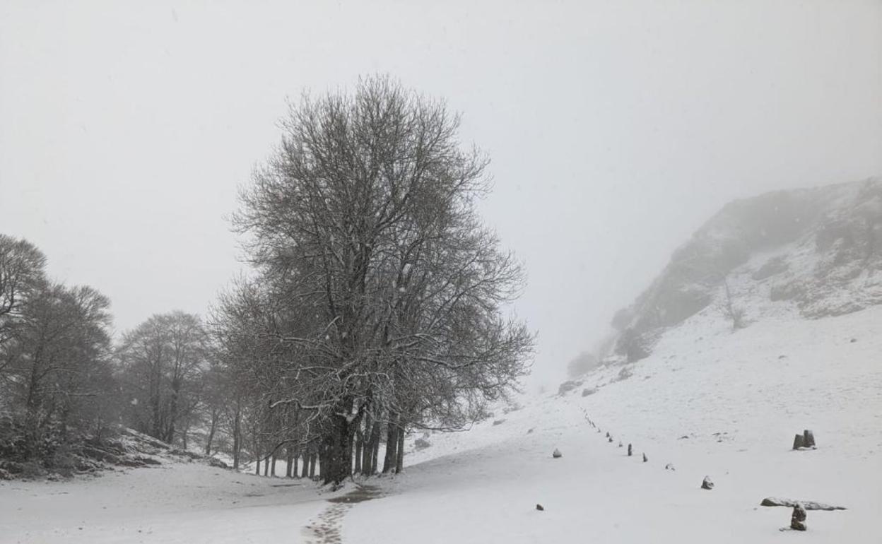 En las campas de Urbia cayeron ayer los primeros copos de nieve del año en Gipuzkoa. 