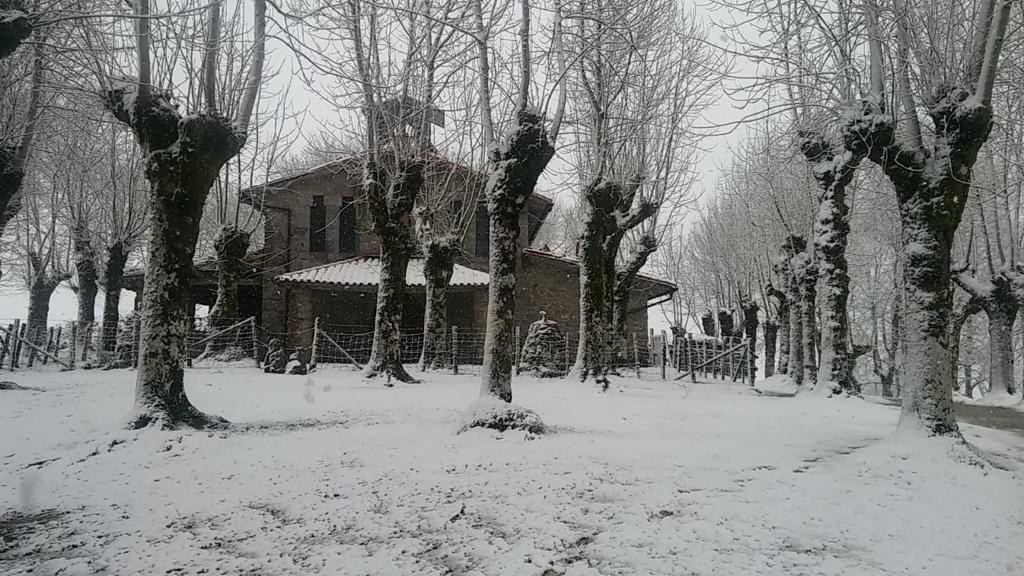 Fotos: Jornada gris y lluviosa