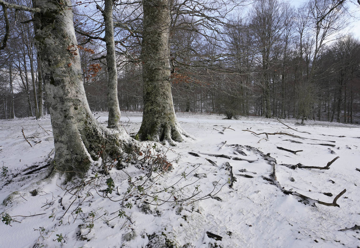 Fotos: La nieve llega a Gipuzkoa