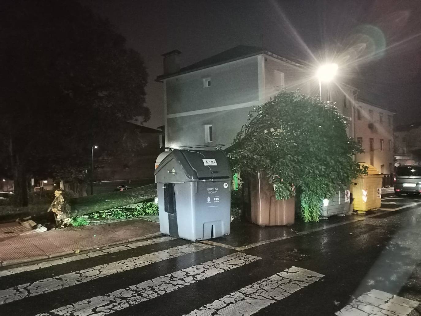 Imagen. Árbol caído en Errenteria.