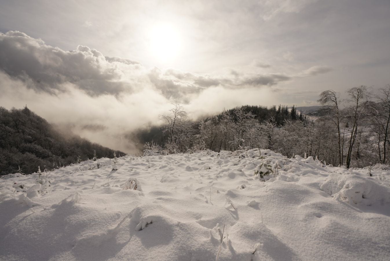 Fotos: Albiztur, zurituta