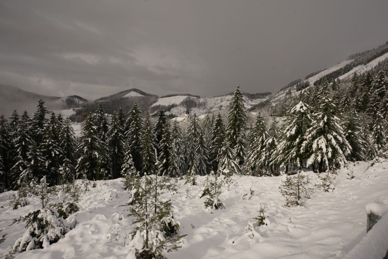 Fotos: Albiztur, zurituta