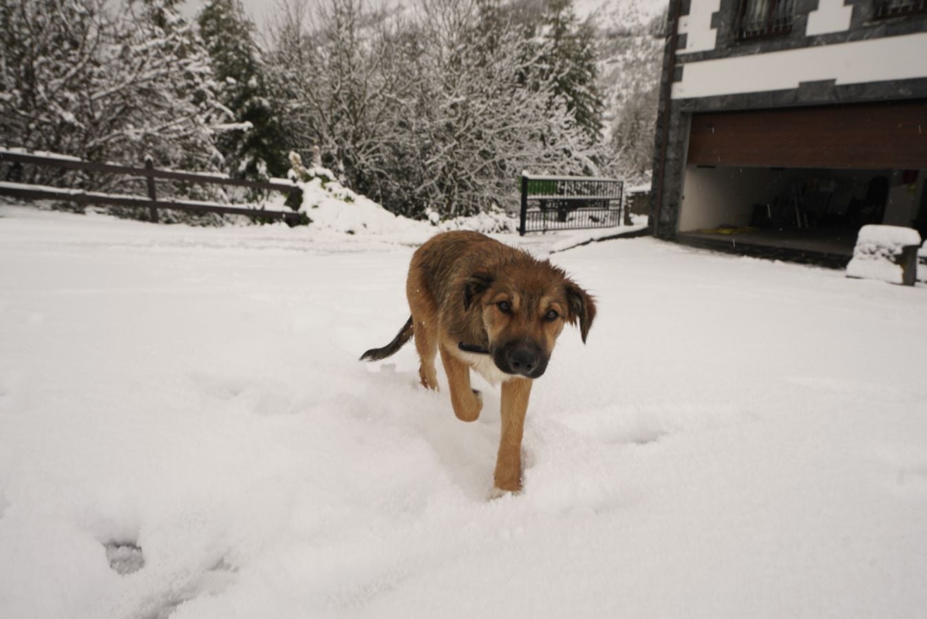 Fotos: Albiztur, zurituta