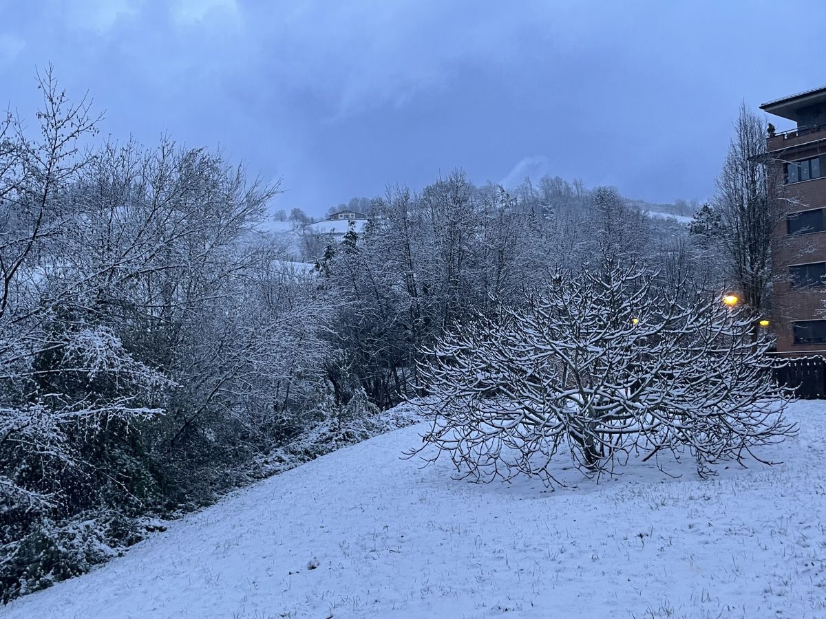 Fotos: Oñati amanece cubierta por un manto blanco