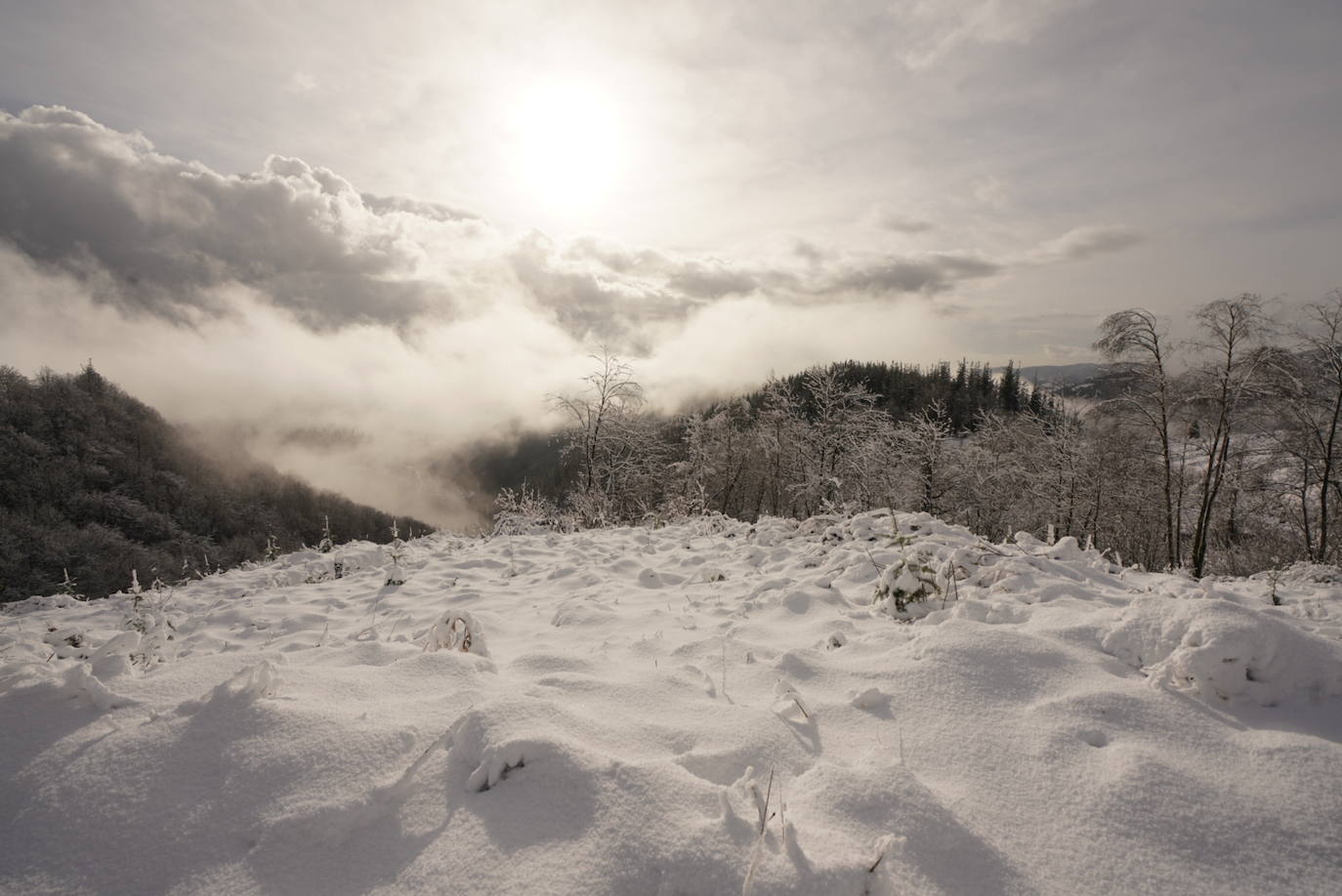 Preciosa imagen de Santa Marina, en Albiztur. 