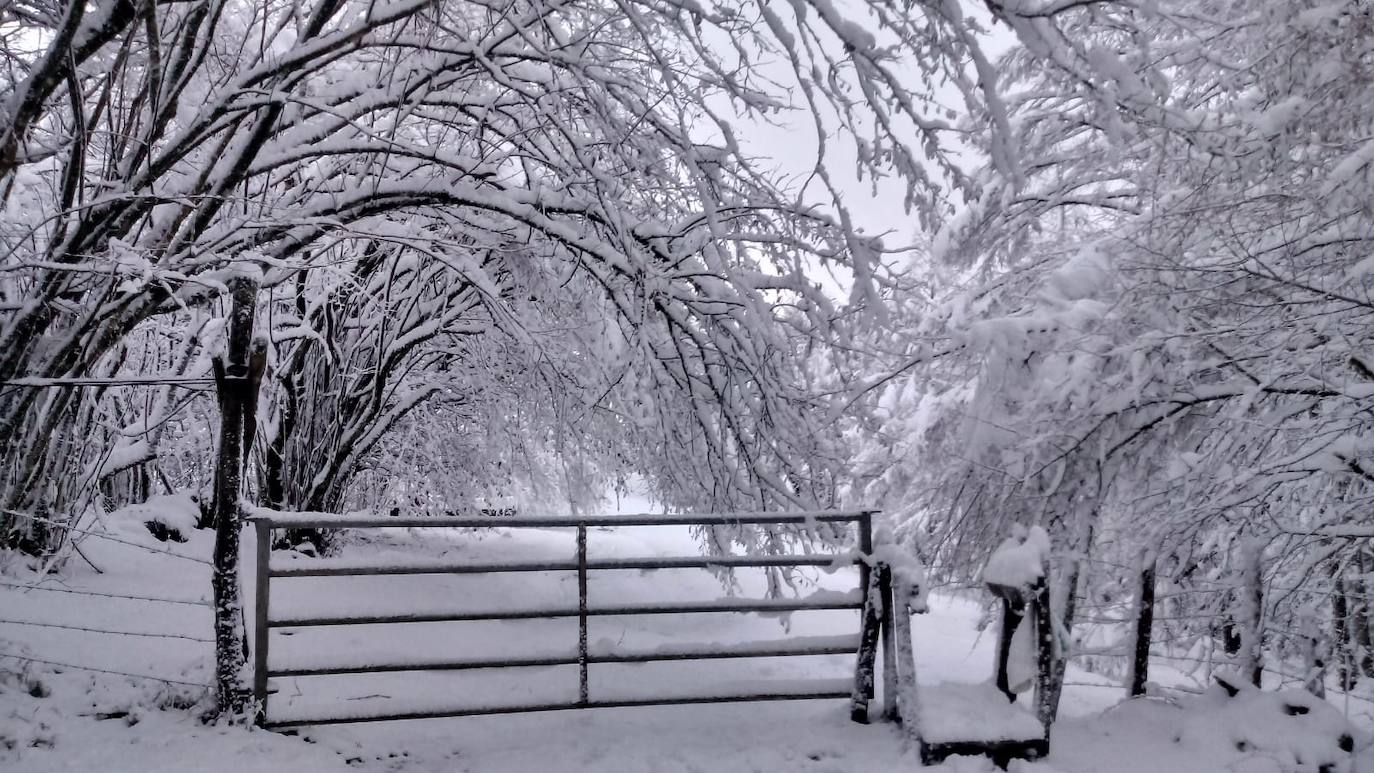 Otra bella imagen de Belabieta uzturre