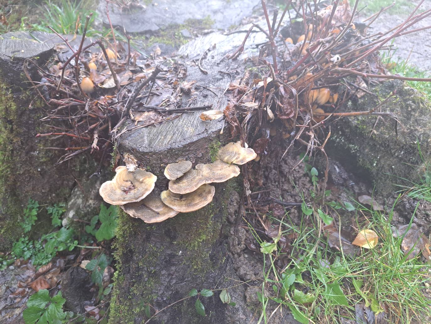 Fotos: Ixkier, el agua marca el ritmo de Larraun