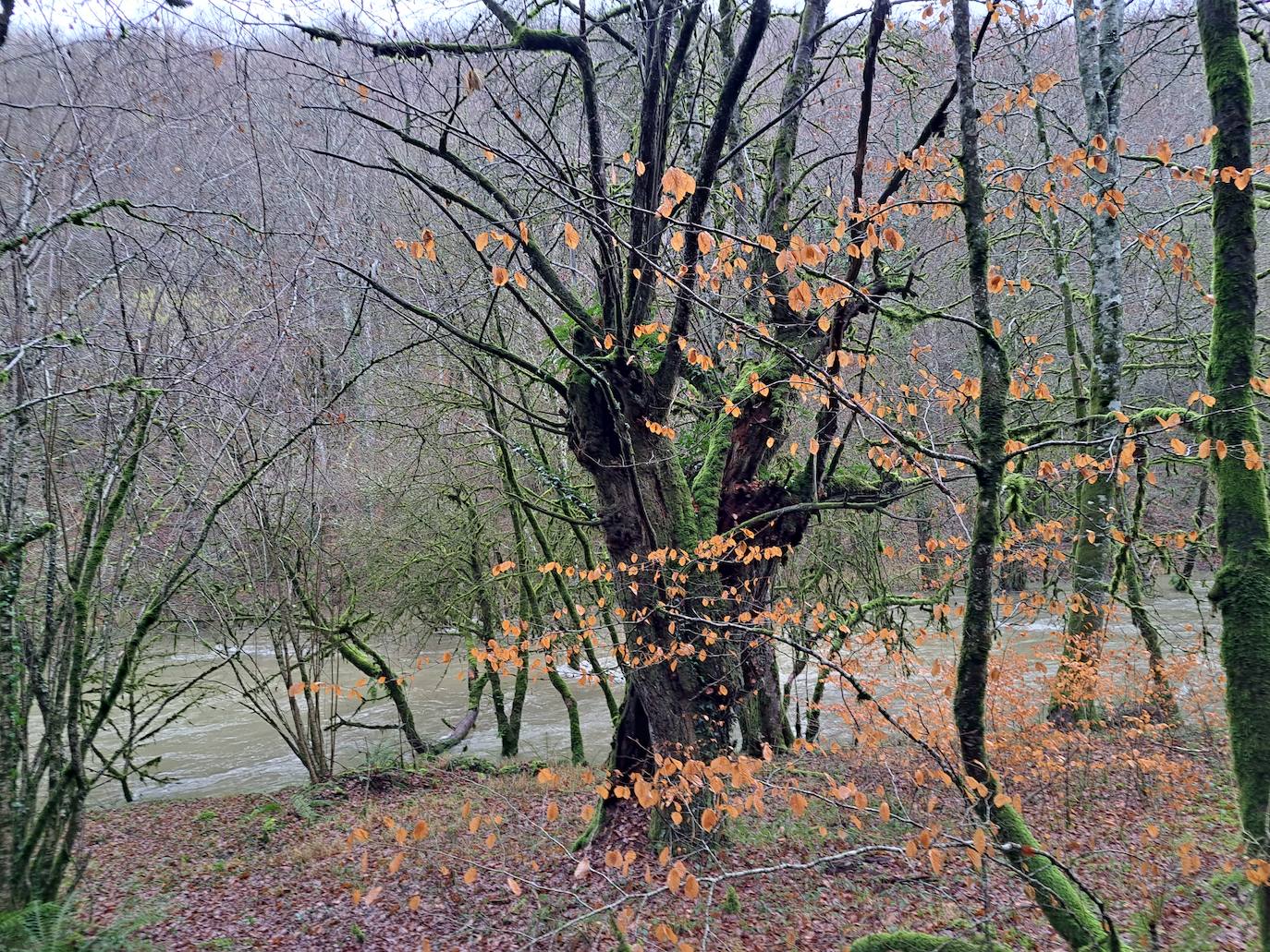 Fotos: Ixkier, el agua marca el ritmo de Larraun
