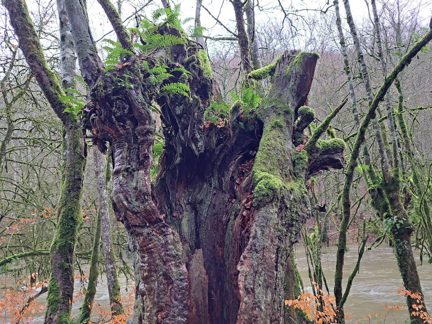 Fotos: Ixkier, el agua marca el ritmo de Larraun