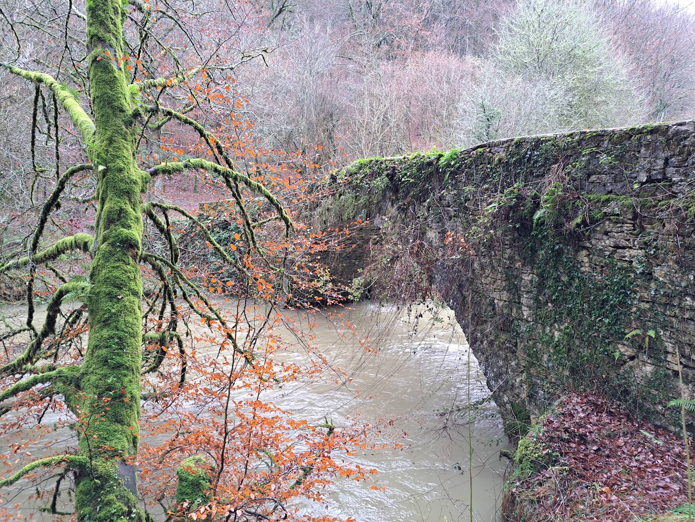 Fotos: Ixkier, el agua marca el ritmo de Larraun