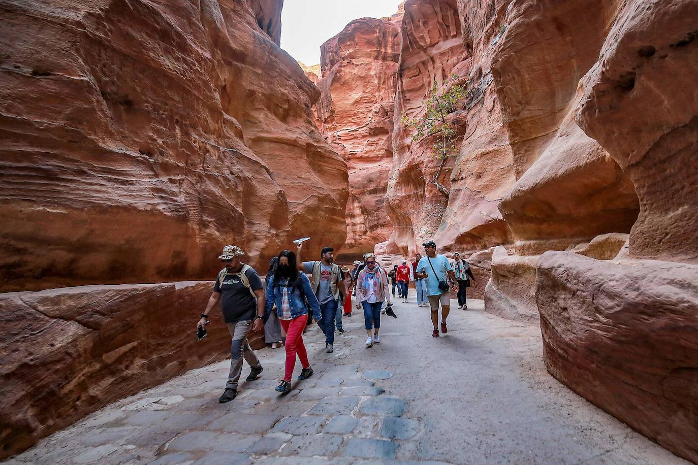 Fotos: Invasión en Petra: la &#039;Ciudad Rosa&#039; deja de ser la ciudad fantasma