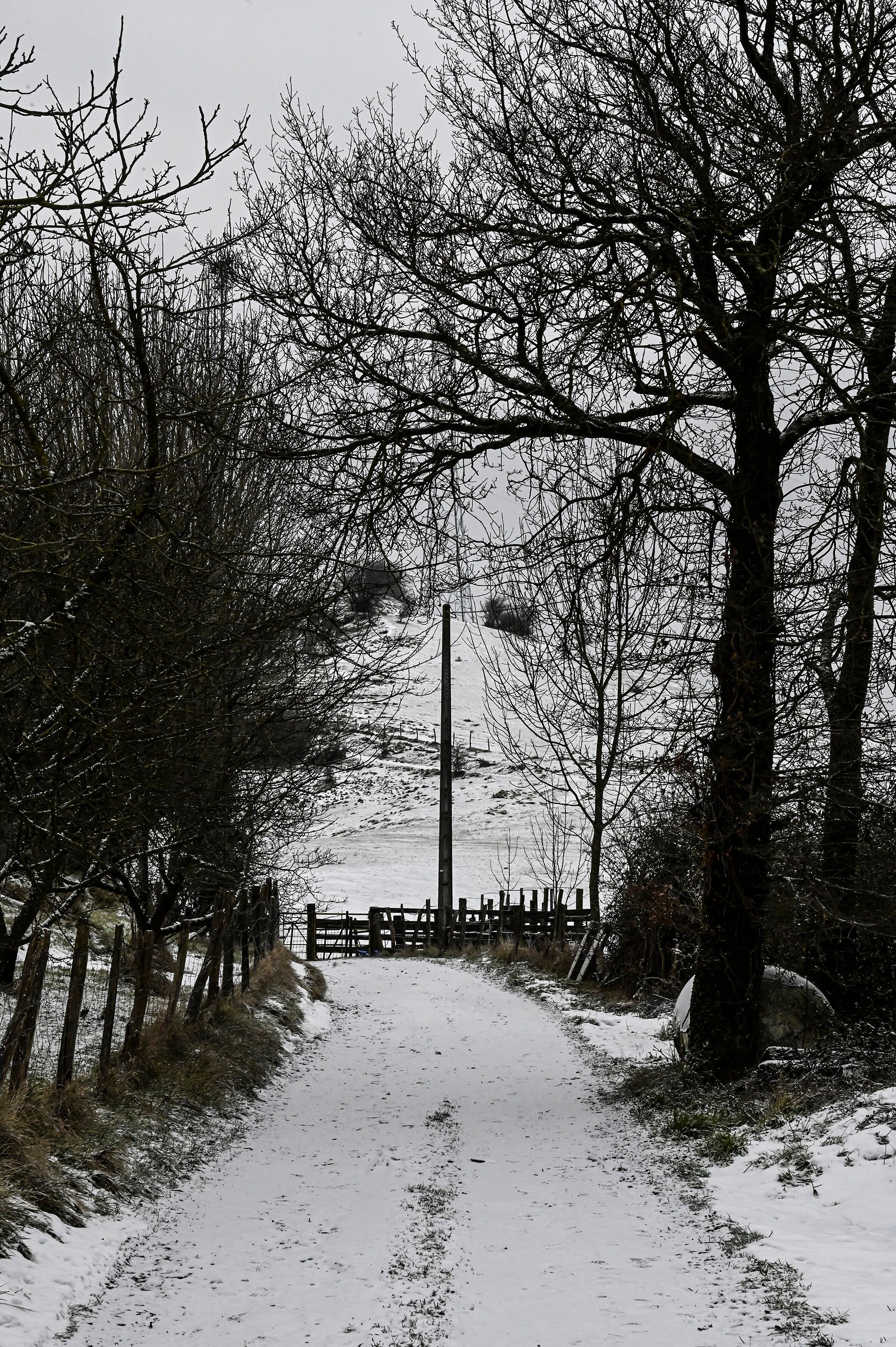 Fotos: Frío y nieve en Etzegarate