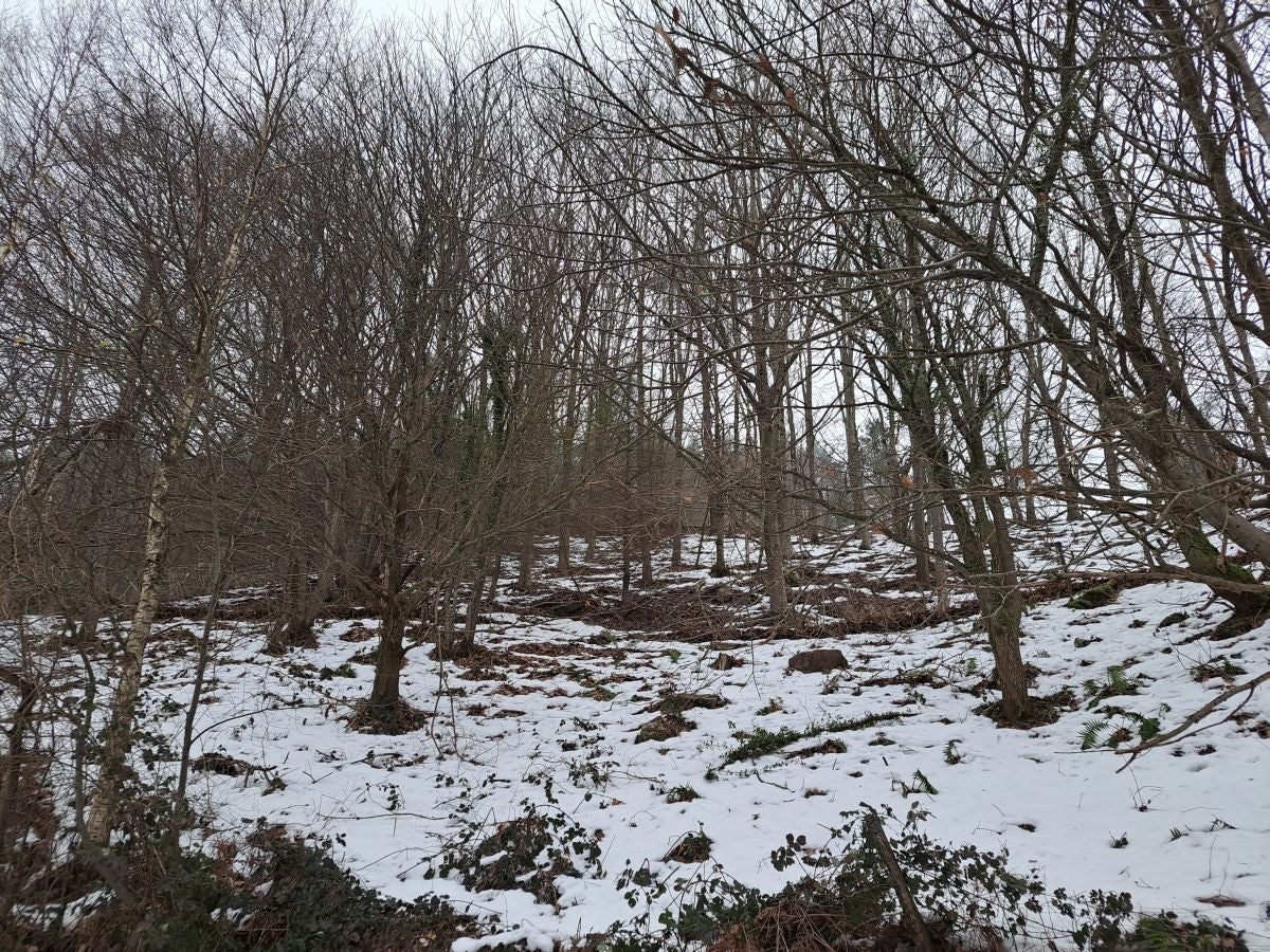 Fotos: Las mejores imágenes de la subida a Larre