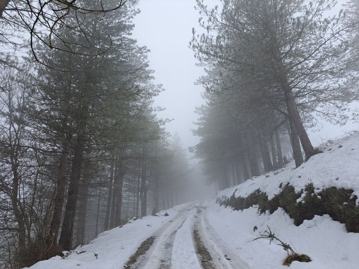 Fotos: Las mejores imágenes de la subida a Larre