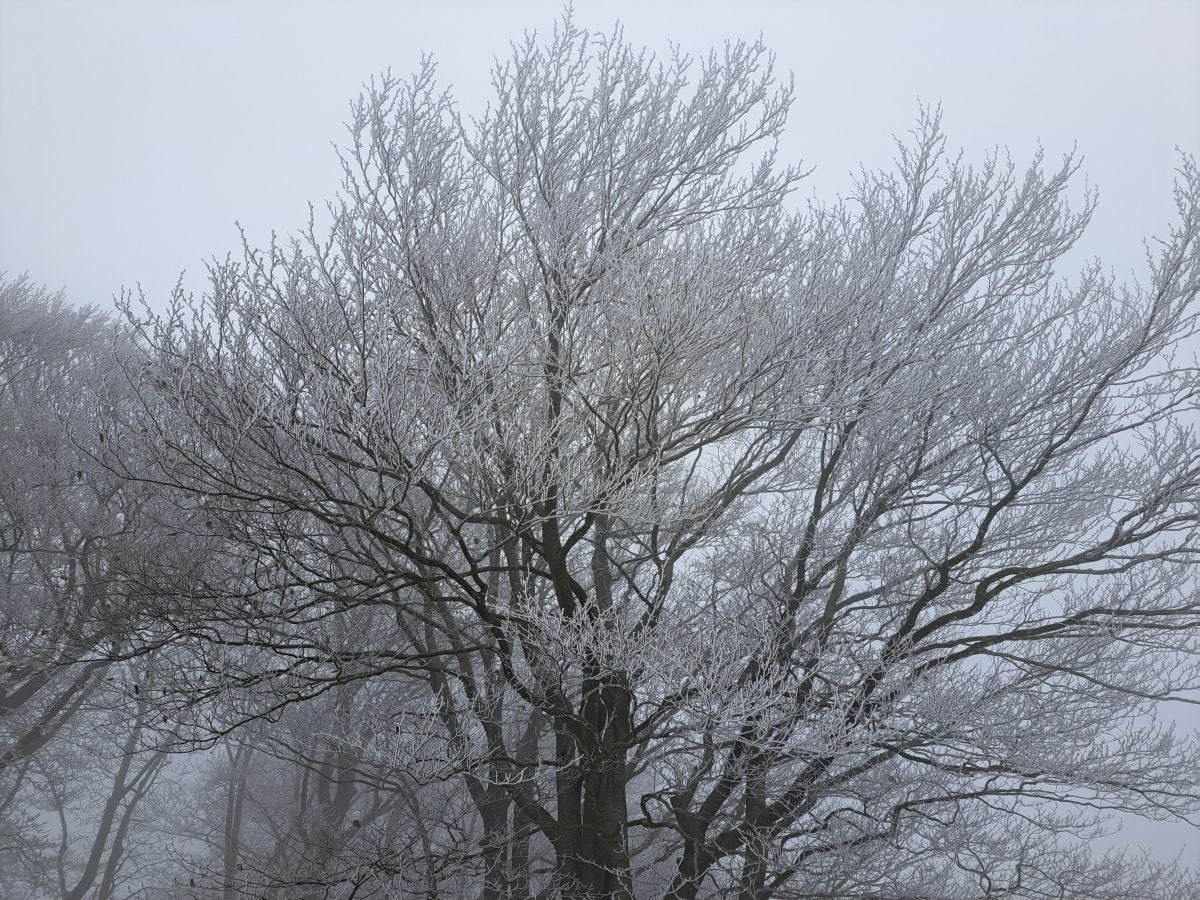 Fotos: Las mejores imágenes de la subida a Larre