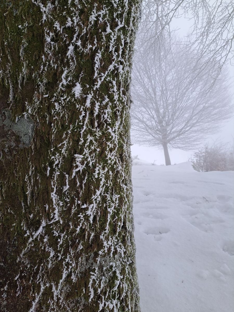 Fotos: Las mejores imágenes de la subida a Larre