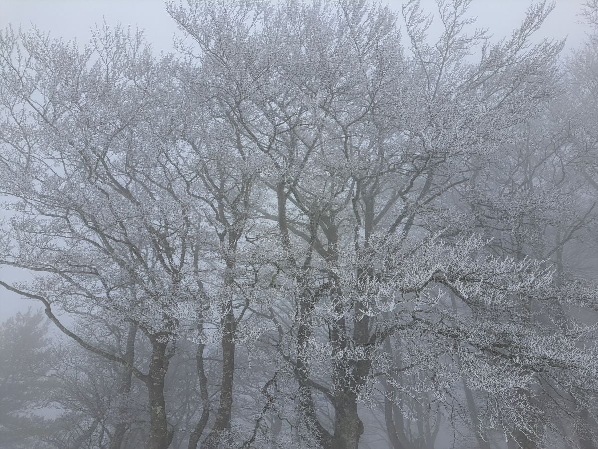 Fotos: Las mejores imágenes de la subida a Larre